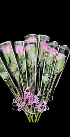 £5 Individually Wrapped Blush Roses (Minimum of 10)